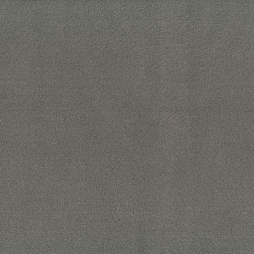 Claudia Carbon Fabric