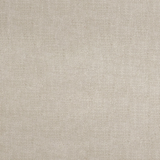 Venal Birch Fabric