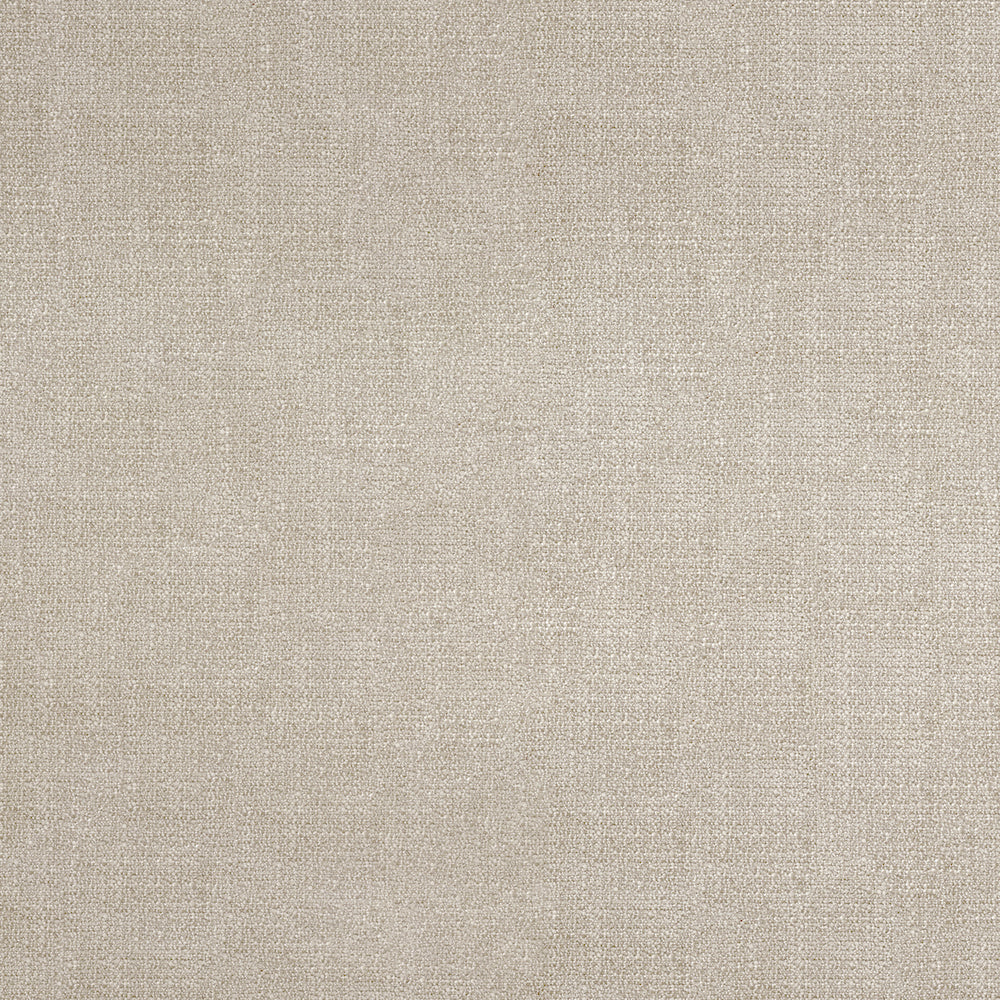 Crypton Birch Fabric (CRYPTVENAL63)