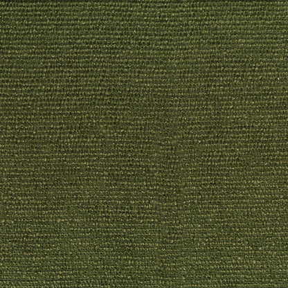Carter Loden Fabric