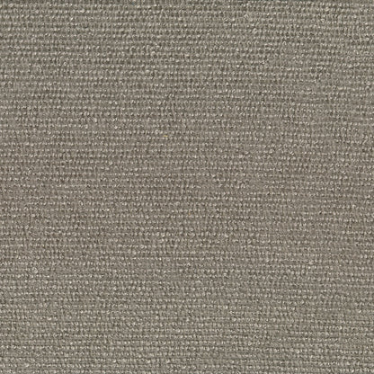 Carter Platinum Fabric