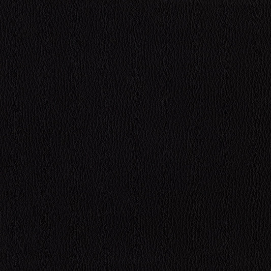 Richmond Black Fabric