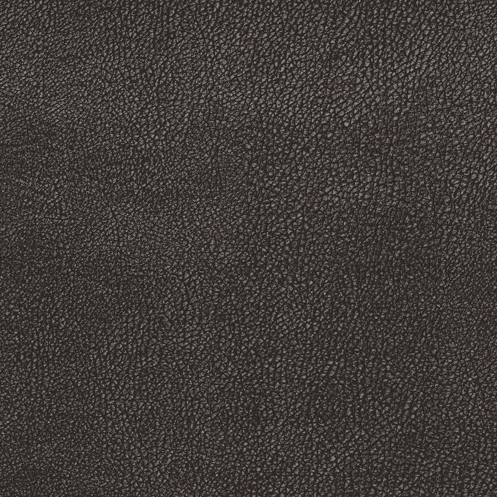 Ravera Graphite Fabric