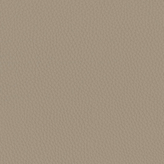 Massimo Taupe Fabric