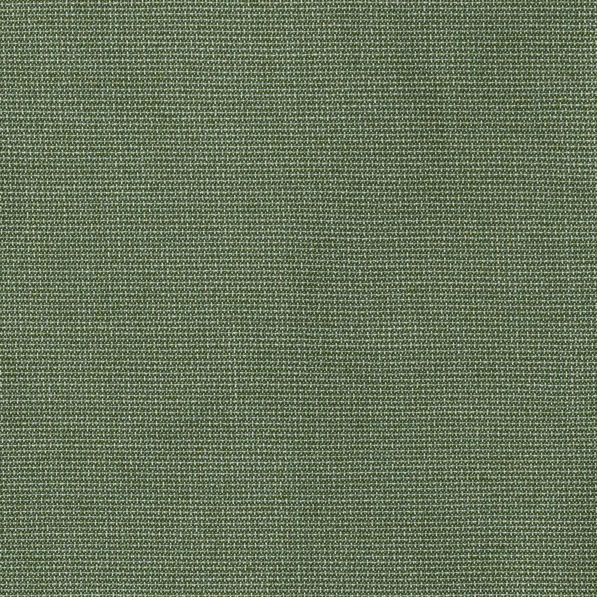 Sunbrella Furniture Bliss Aloe Fabric