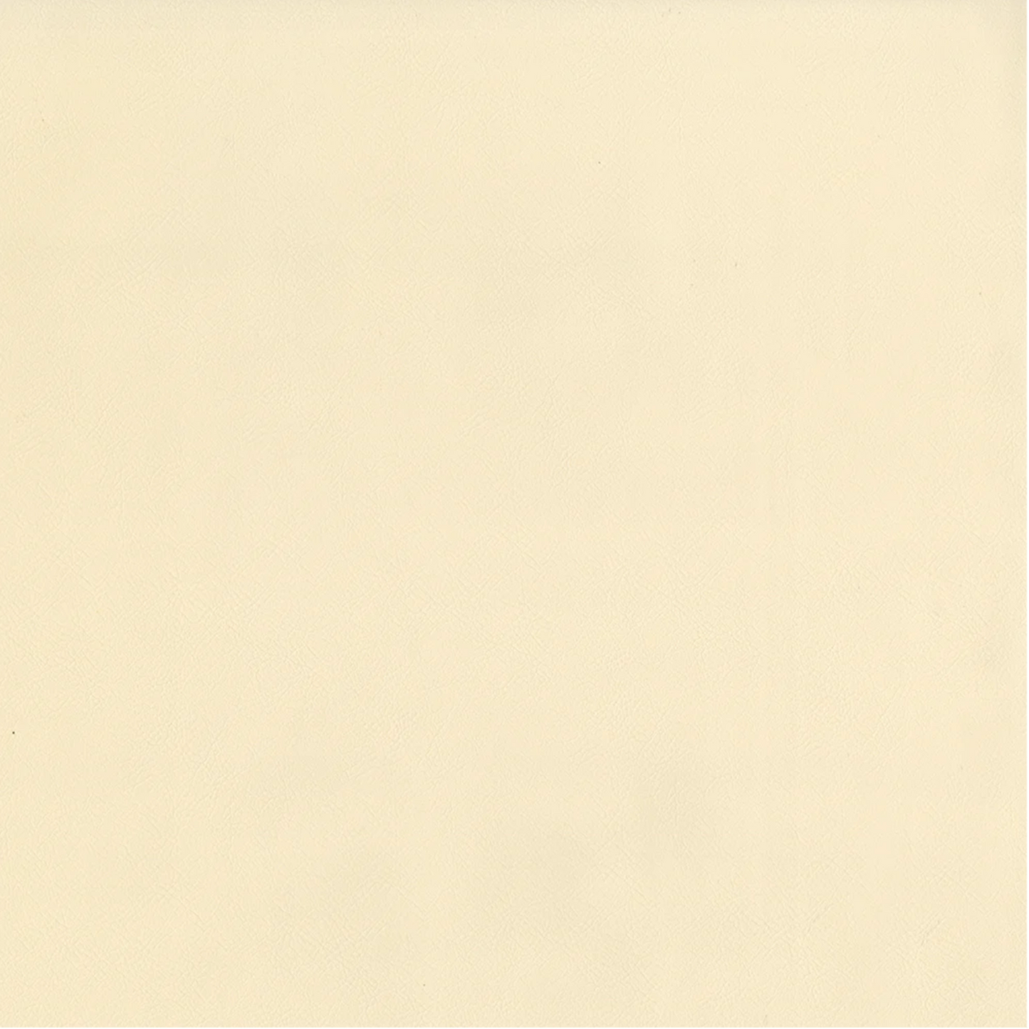 Challenger Vanilla Vinyl Fabric