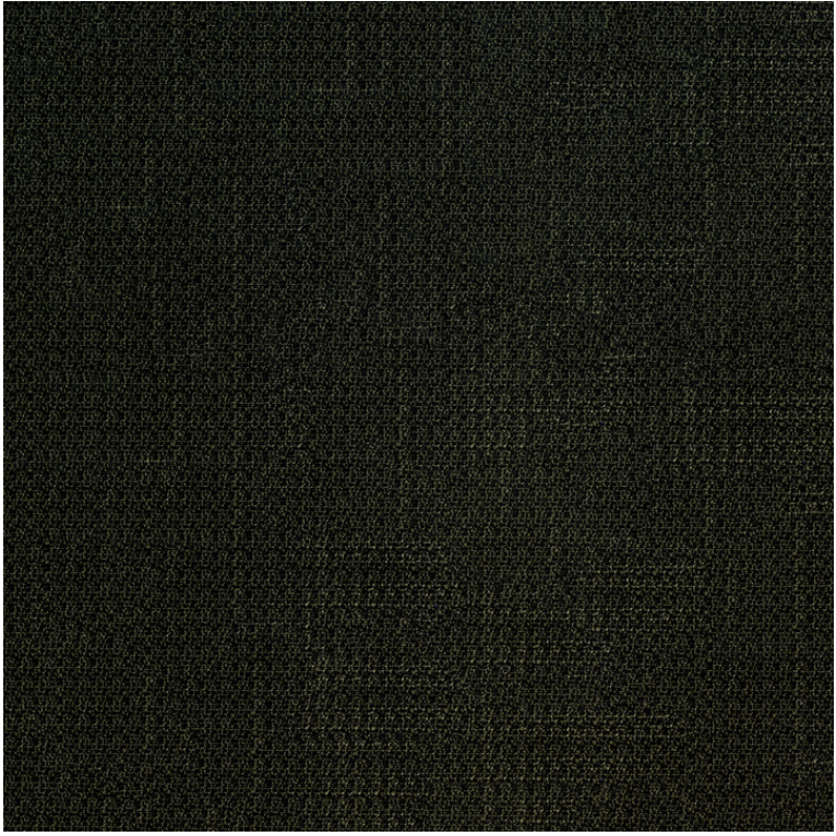 Denali Noir Fabric