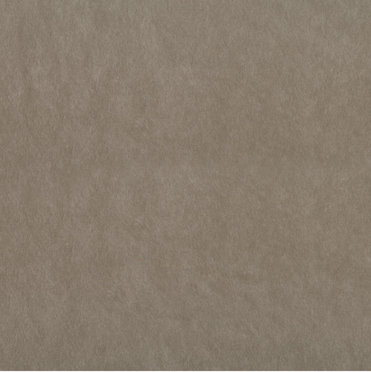 Catalyst Taupe Fabric