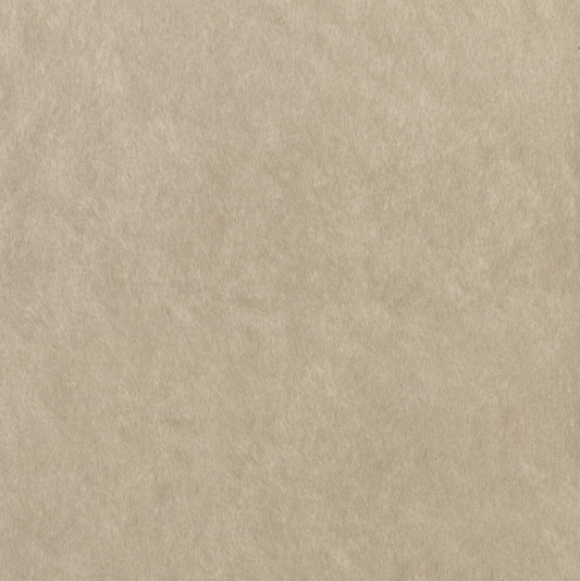 Catalyst Stucco Fabric