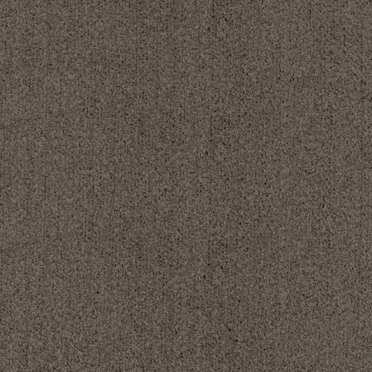 Alert Coffee Fabric