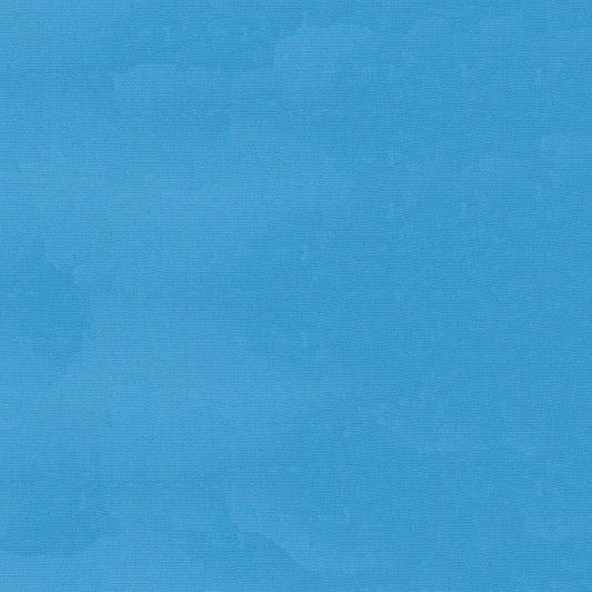 Sunbrella Canvas Capri Fabric