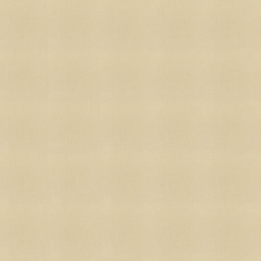 Sunbrella Canvas Antique Beige Fabric