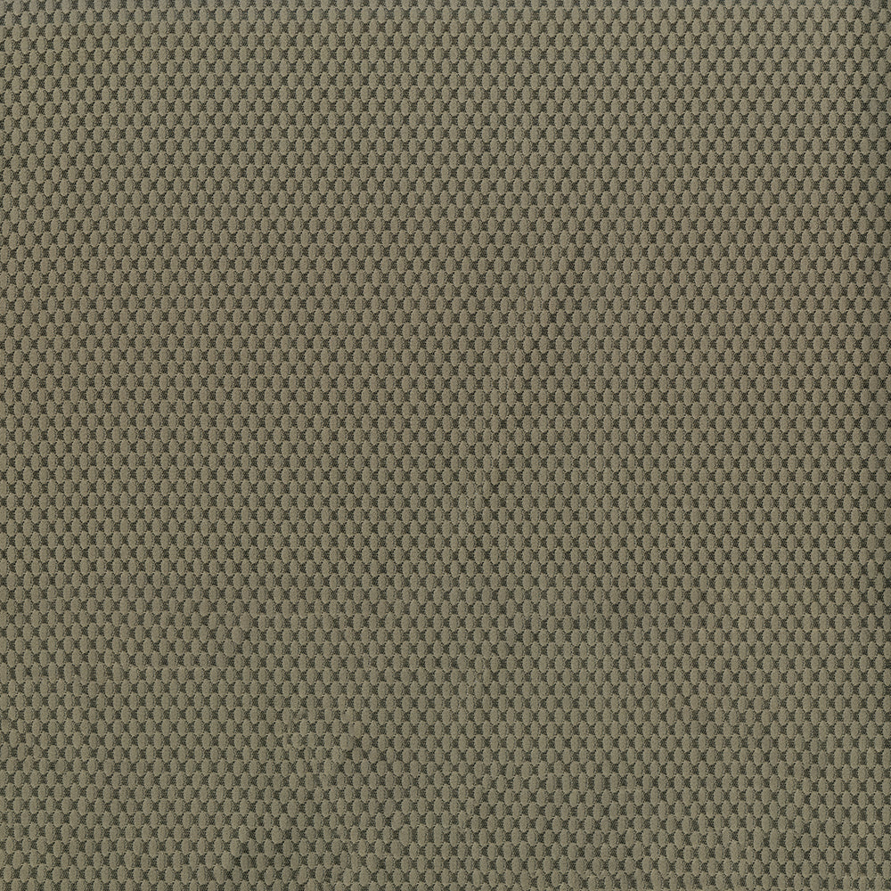 Fiera Tundra Fabric