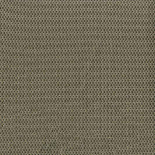 Fiera Tundra Fabric