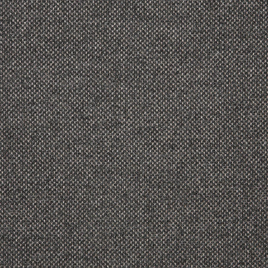 Sunbrella Nurture Charcoal Fabric