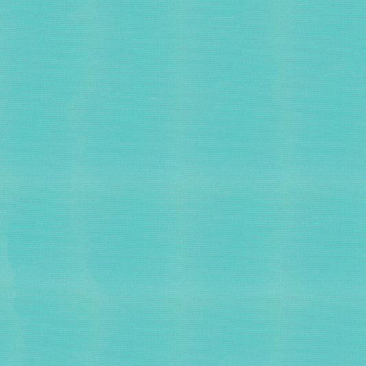 Sunbrella Canvas Aruba Fabric