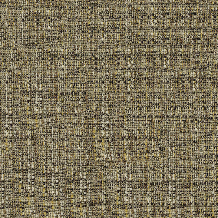 Moritz Coin Fabric