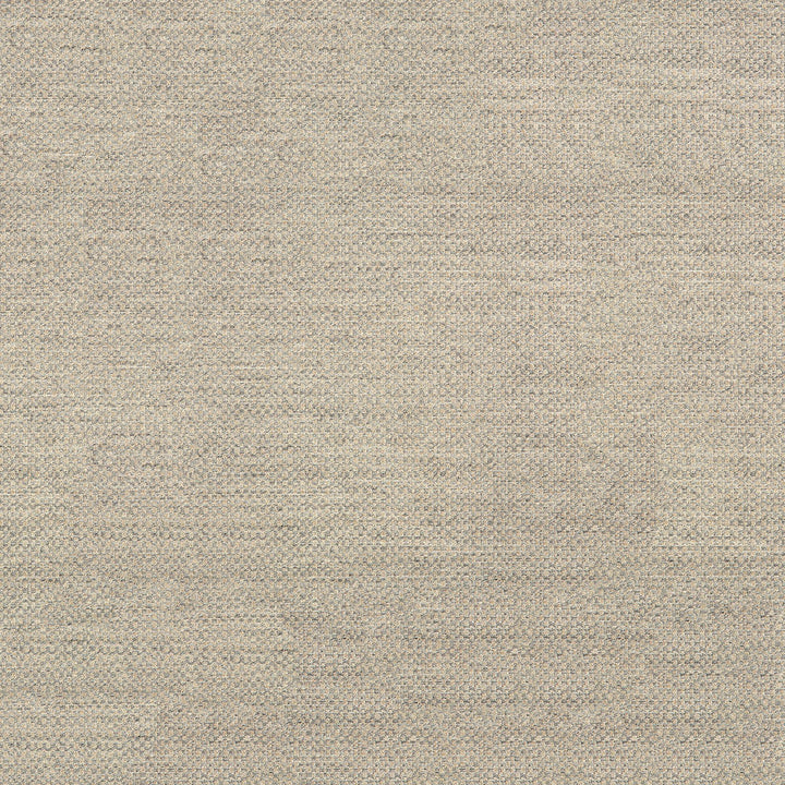 Sunbrella Action Ash Fabric