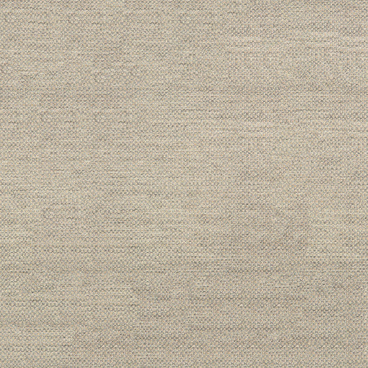 Sunbrella Action Ash Fabric