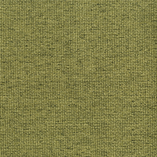 Stardust Pistachio Fabric