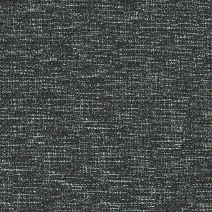 Lido Carbon Fabric