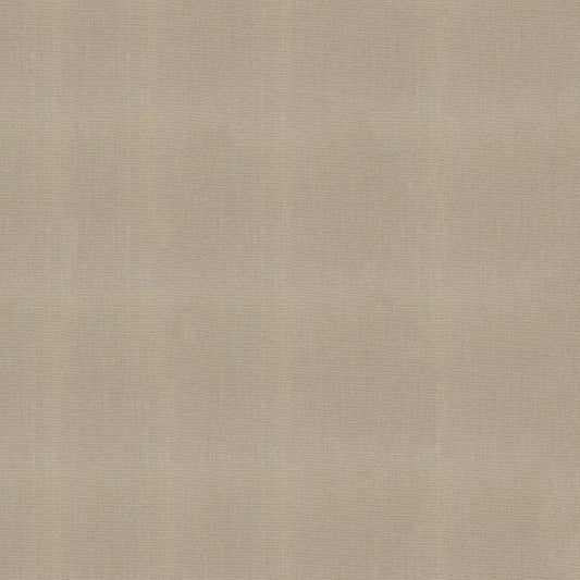 Sunbrella Canvas Taupe Fabric