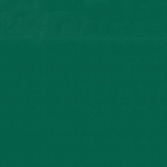 Sunbrella Canvas Forest Green Fabric