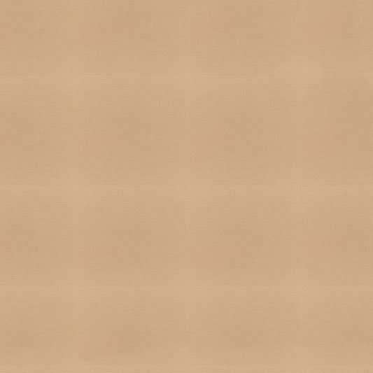 Sunbrella Canvas Camel Fabric