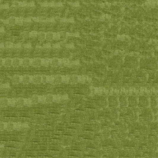 Intrigue Olive Fabric