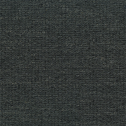 Stardust Charcoal Fabric