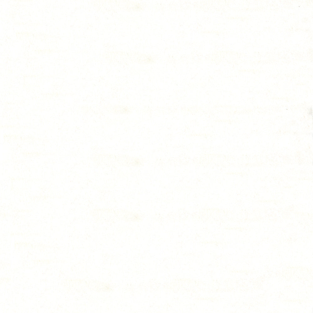 Franklin Snow Fabric
