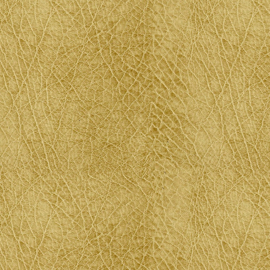 Abilene Honey Fabric