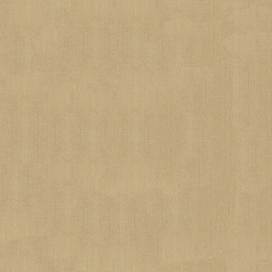 Sunbrella Canvas Heather Beige Fabric