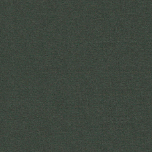Sunbrella Canvas Coal Fabric