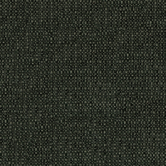 Restored Charcoal Fabric