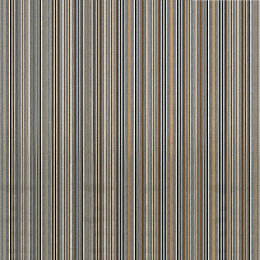 Sunbrella Cultivate Stone Fabric