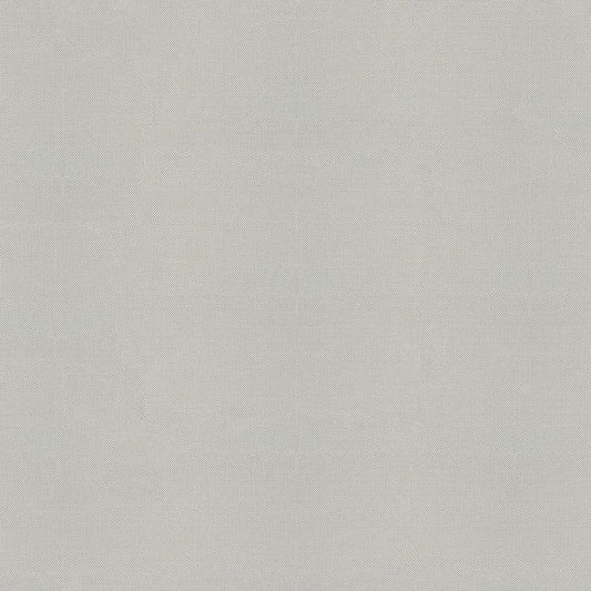 Sunbrella Sailcloth Seagull Fabric