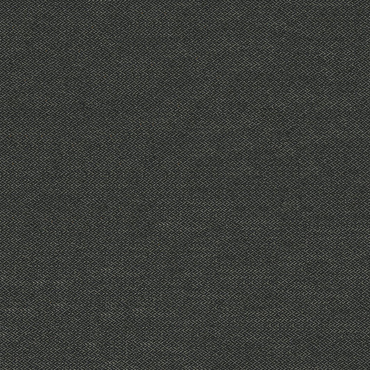 Harley Carbon Fabric