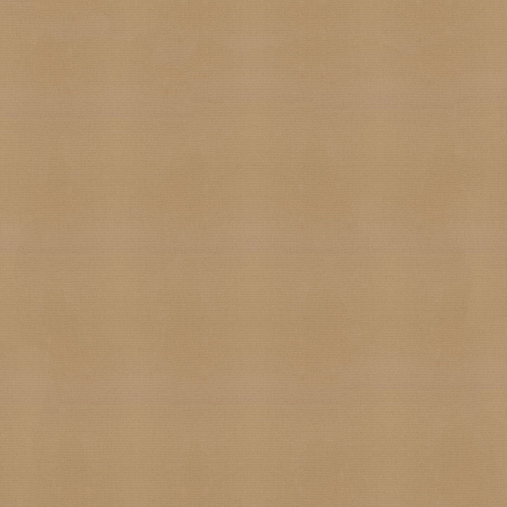 Sunbrella Canvas Cocoa Fabric