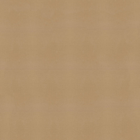 Sunbrella Canvas Cocoa Fabric