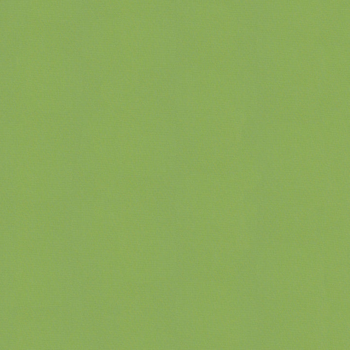 Sunbrella Canvas Ginko Fabric