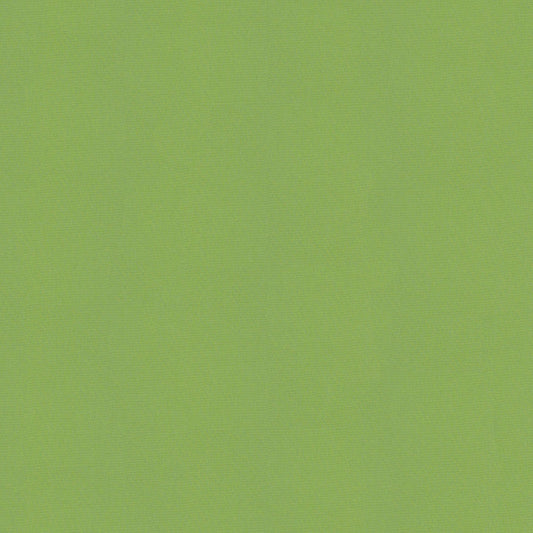 Sunbrella Canvas Ginko Fabric